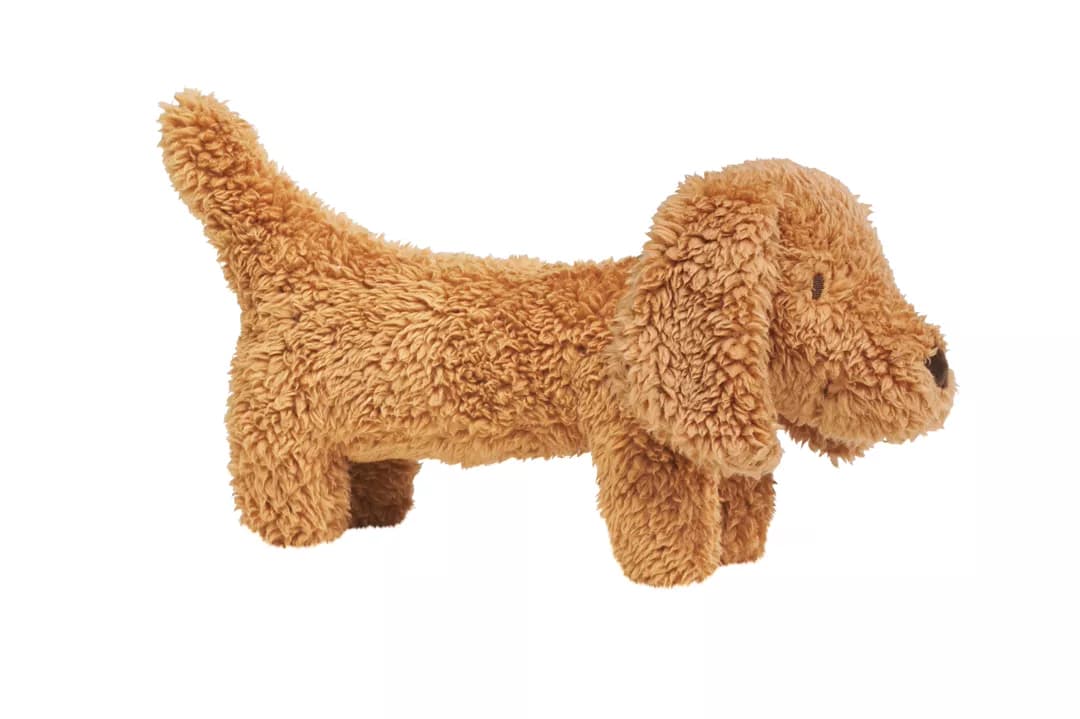 Dachshund Devina no. 1